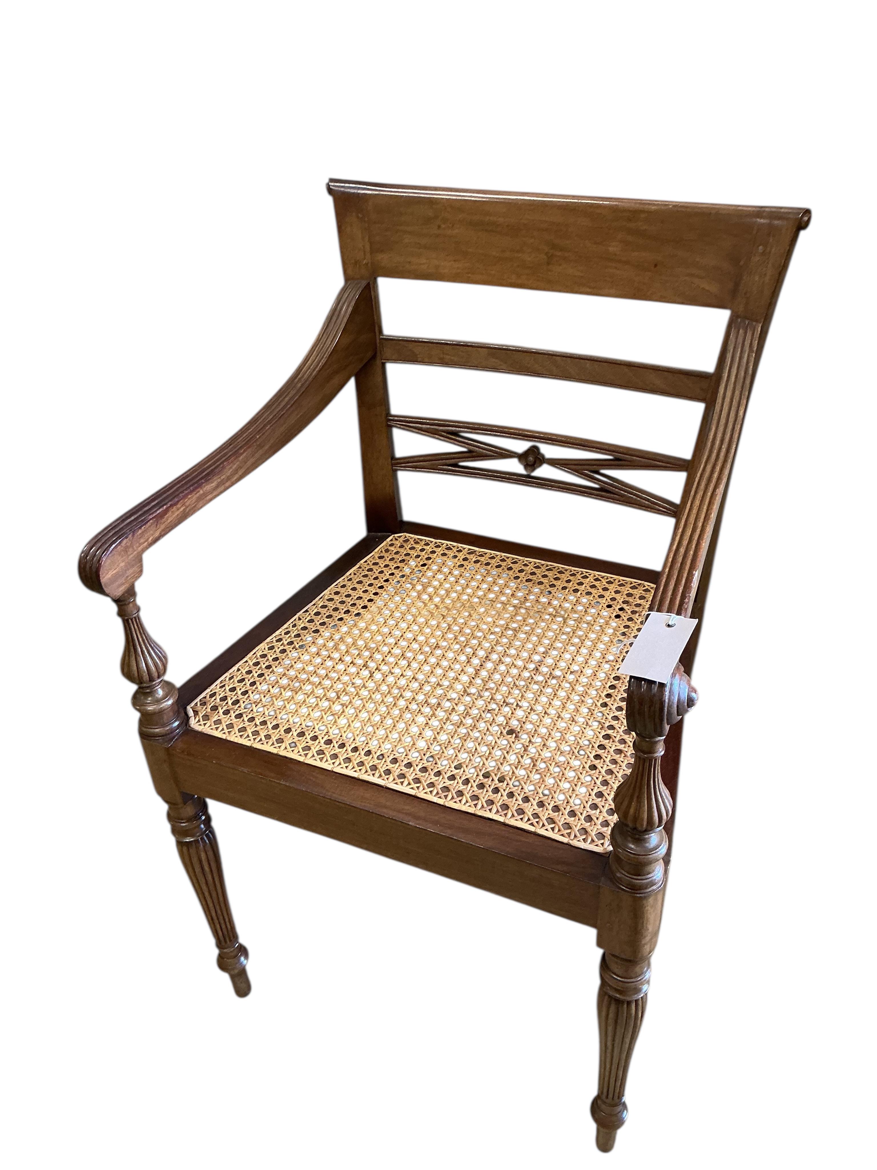 A pair of Regency style cane seat hardwood elbow chairs, width 54cm, depth 46cm, height 88cm